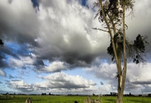 文昌论坛天涯社区在线交流