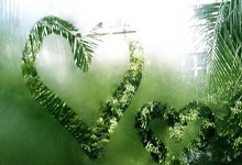 文昌论坛天涯社区在线交流